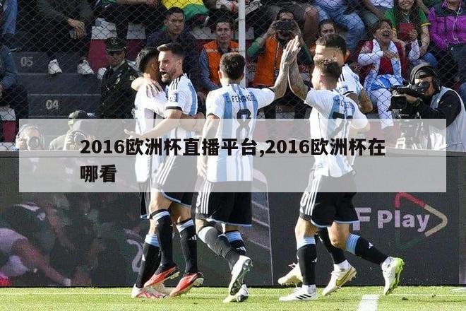 2016欧洲杯直播平台,2016欧洲杯在哪看