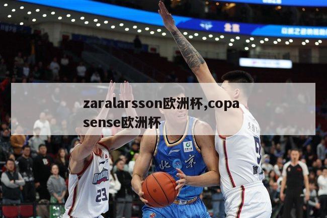 zaralarsson欧洲杯,copa sense欧洲杯