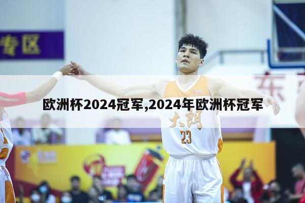 欧洲杯2024冠军,2024年欧洲杯冠军