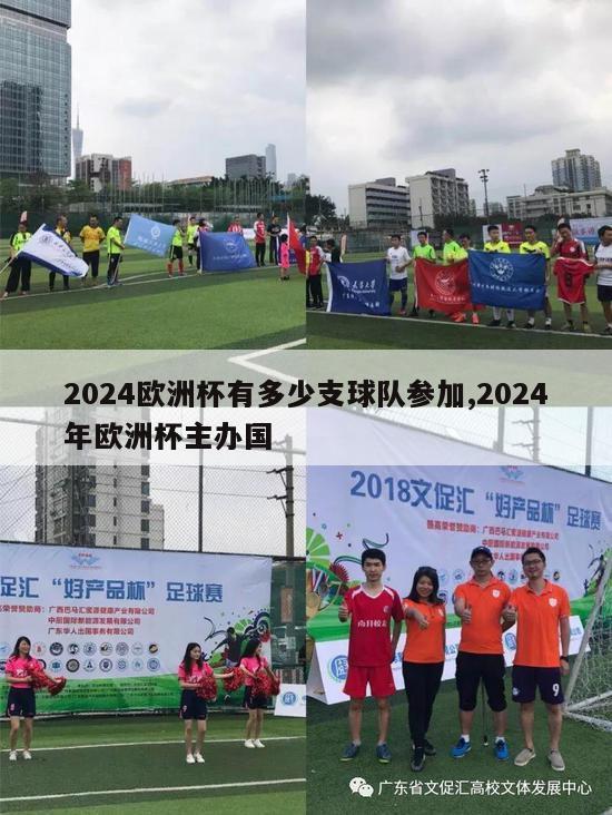 2024欧洲杯有多少支球队参加,2024年欧洲杯主办国