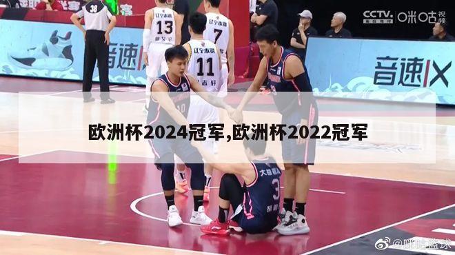 欧洲杯2024冠军,欧洲杯2022冠军