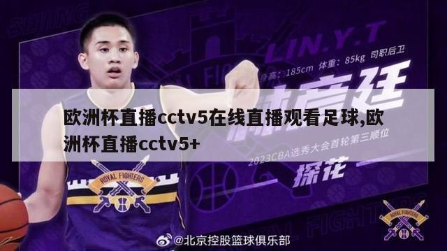 欧洲杯直播cctv5在线直播观看足球,欧洲杯直播cctv5+