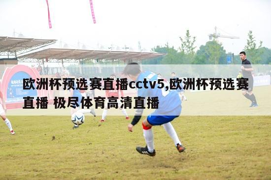 欧洲杯预选赛直播cctv5,欧洲杯预选赛直播 极尽体育高清直播