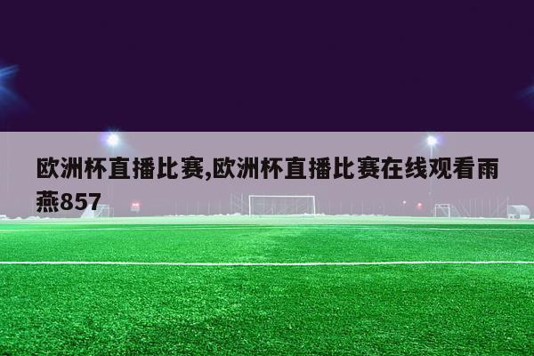 欧洲杯直播比赛,欧洲杯直播比赛在线观看雨燕857