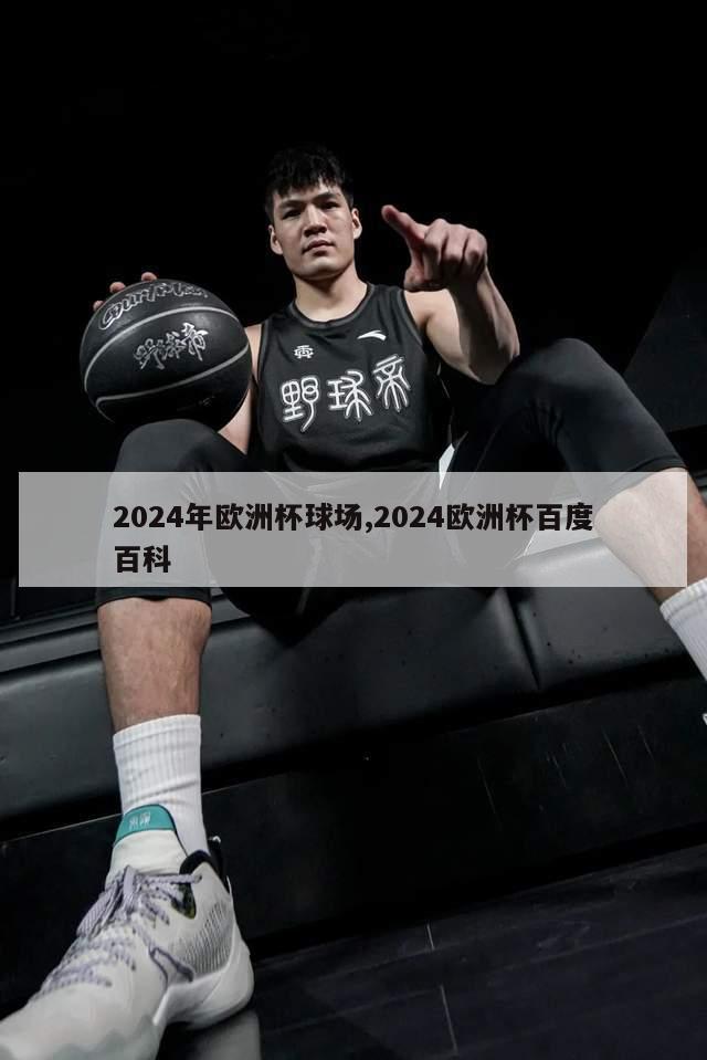 2024年欧洲杯球场,2024欧洲杯百度百科