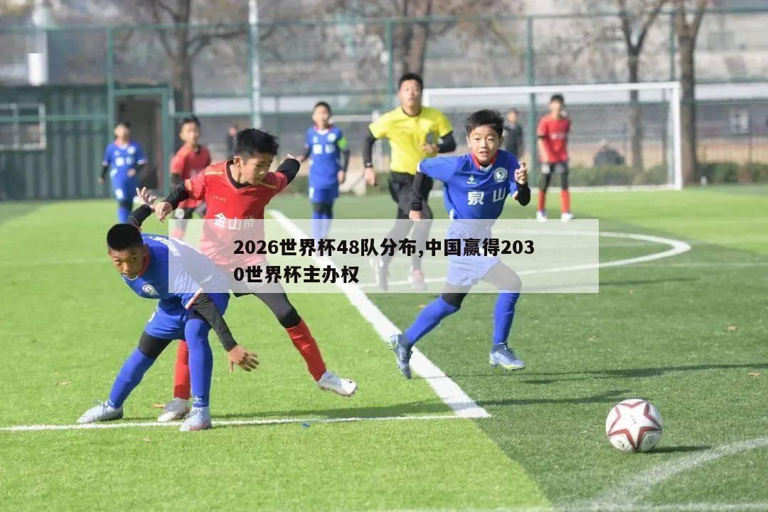 2026世界杯48队分布,中国赢得2030世界杯主办权