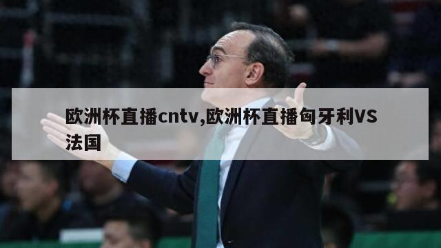 欧洲杯直播cntv,欧洲杯直播匈牙利VS法国