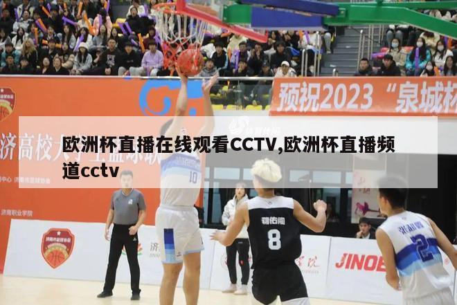 欧洲杯直播在线观看CCTV,欧洲杯直播频道cctv