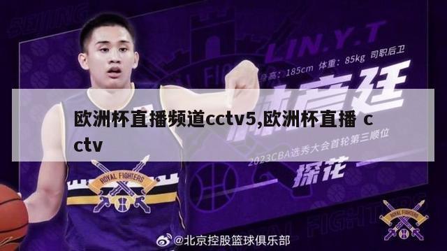 欧洲杯直播频道cctv5,欧洲杯直播 cctv