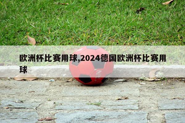 欧洲杯比赛用球,2024德国欧洲杯比赛用球