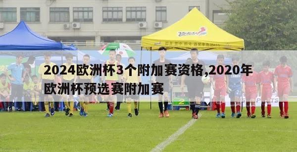 2024欧洲杯3个附加赛资格,2020年欧洲杯预选赛附加赛