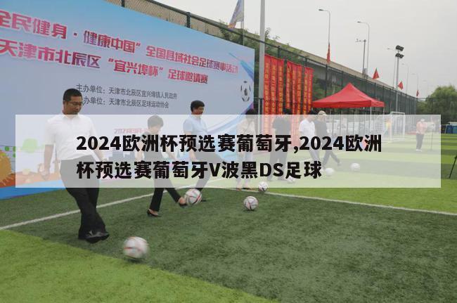 2024欧洲杯预选赛葡萄牙,2024欧洲杯预选赛葡萄牙V波黑DS足球