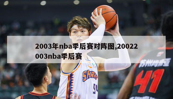 2003年nba季后赛对阵图,20022003nba季后赛